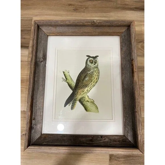 Vintage 1870 Alexander Francis Lydon Long Eared Owl Woodcut Framed Art Drawing - Picture 2 of 4